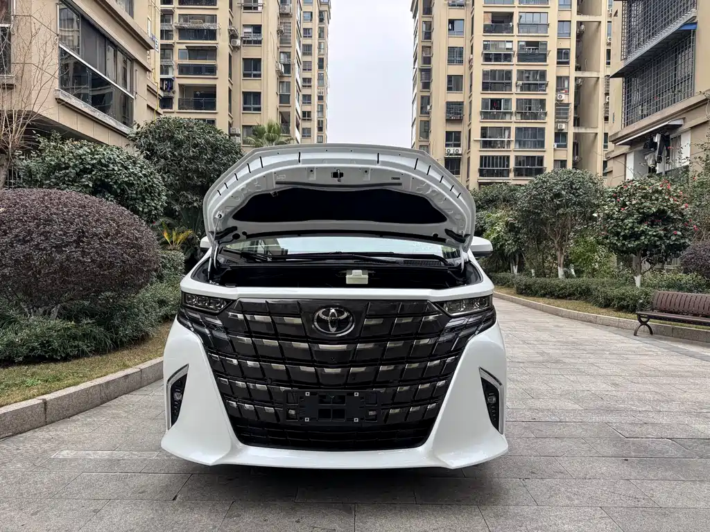 Toyota Alphard — фото 16
