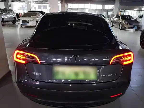 Tesla Model 3 2019