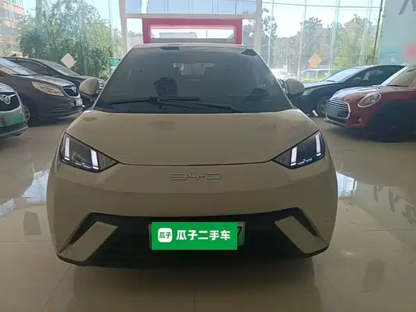BYD Seagull 2024