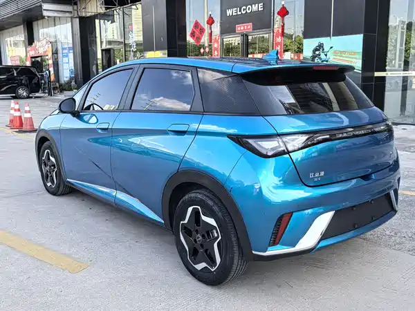 BYD Dolphin 2022