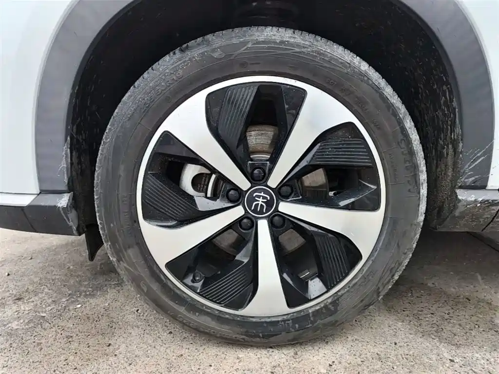 BYD PLUS New Energy 2022 — фото 23