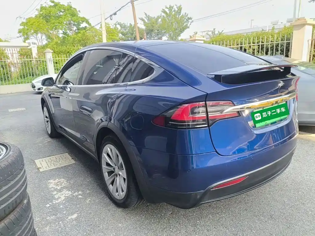 Tesla Model X 2020 — фото 5