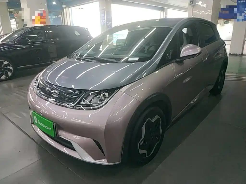 BYD Dolphin 2021