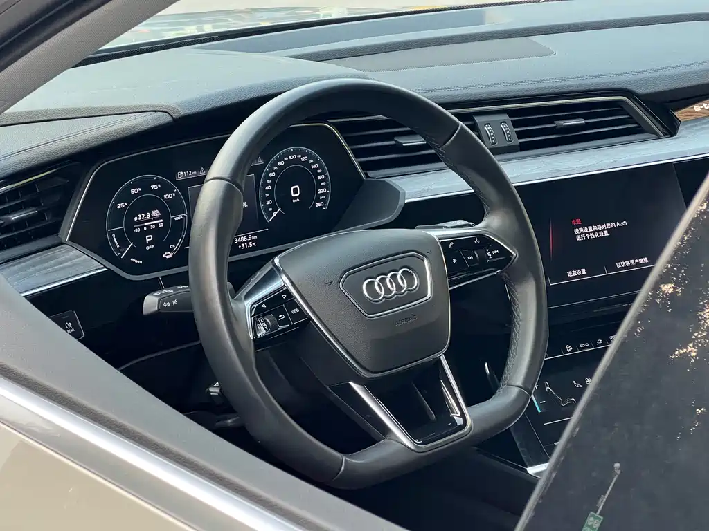 Audi e-tron 2022 — фото 13