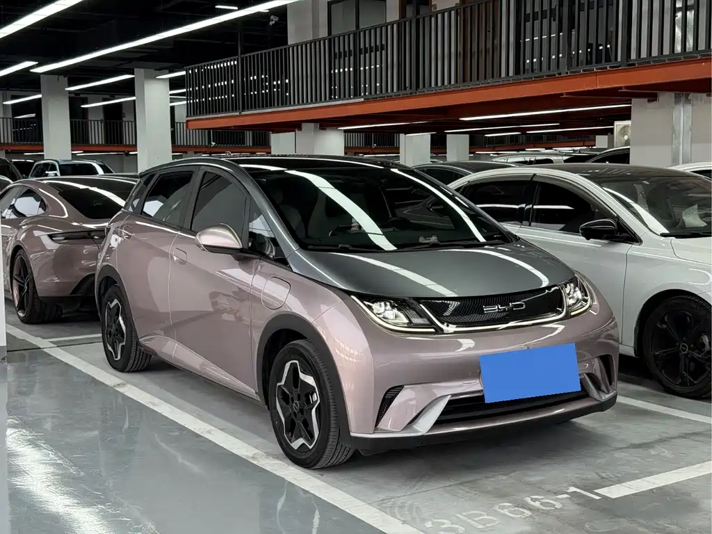 BYD Dolphin 2022