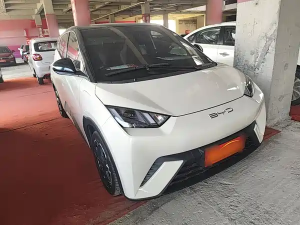 BYD Seagull 2024