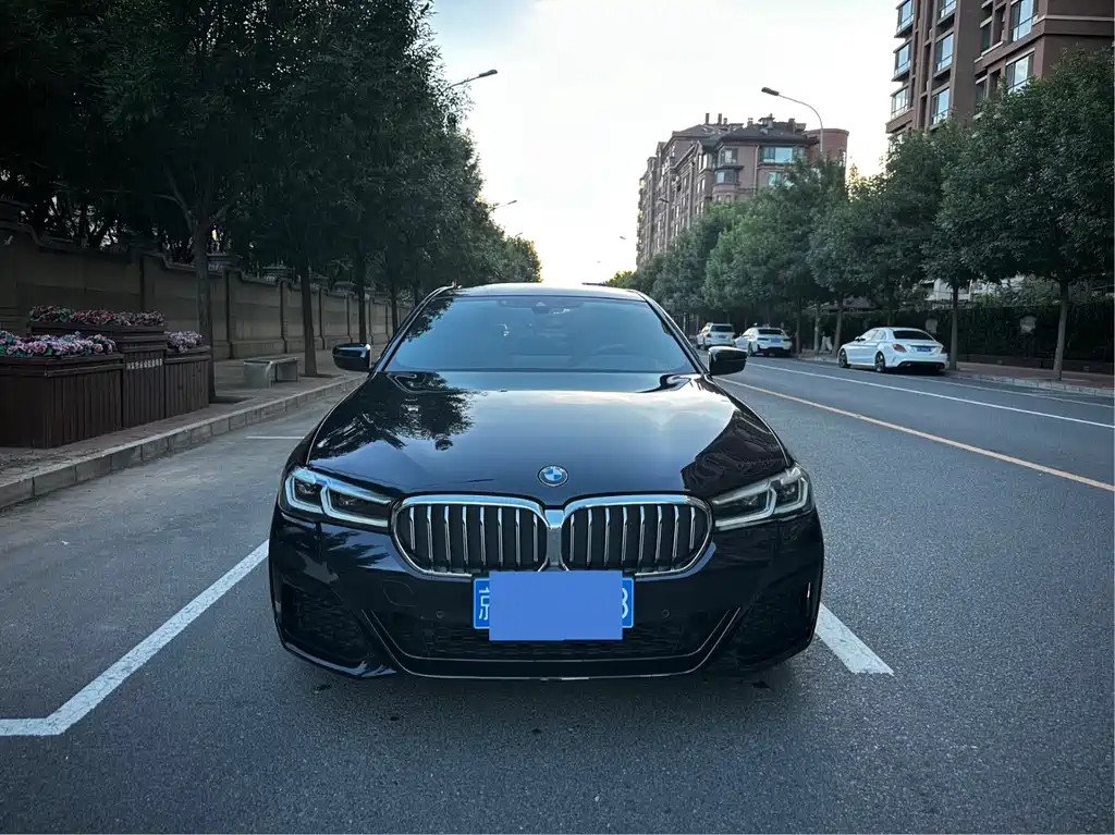 BMW 5 Series 2021