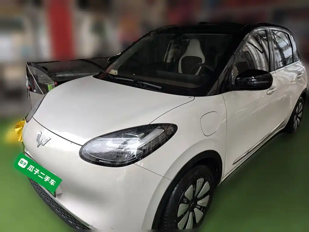 Wuling Bingo 2024