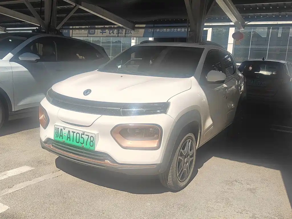 Dongfeng Nano BOX 2024