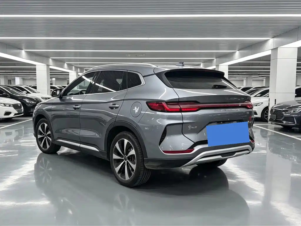 BYD Song PLUS New Energy 2024 — фото 9