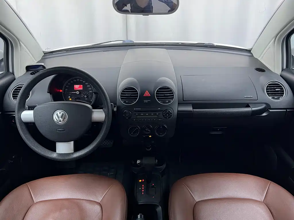 Volkswagen Beetle 2010