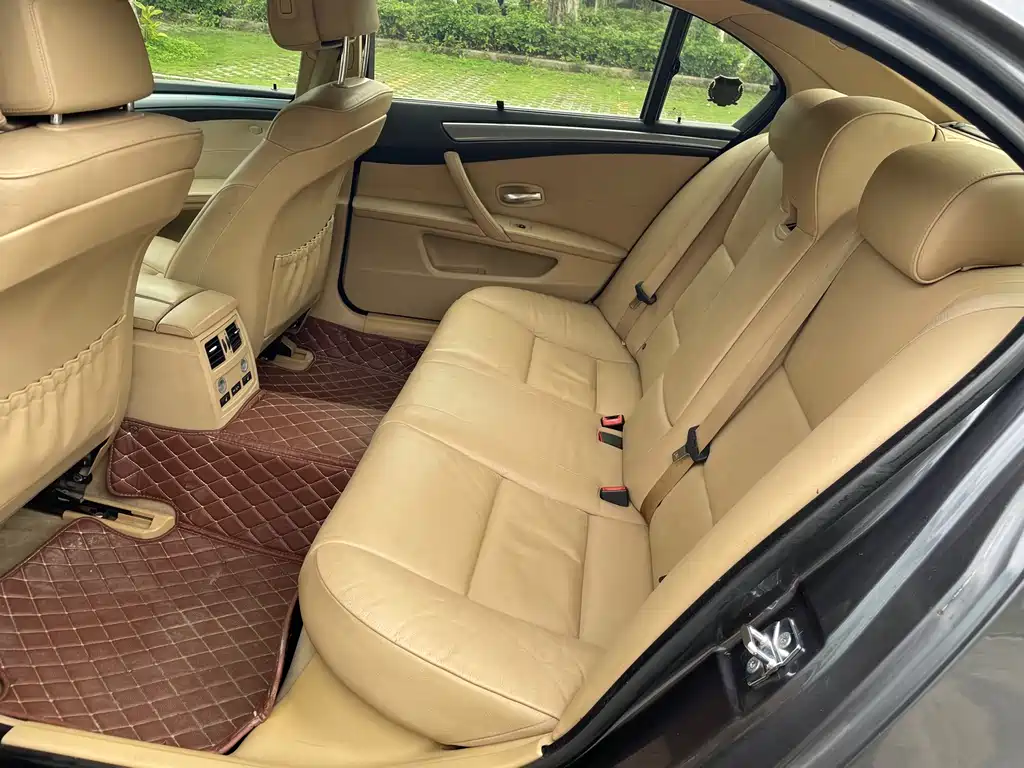 BMW 5 Series 2009