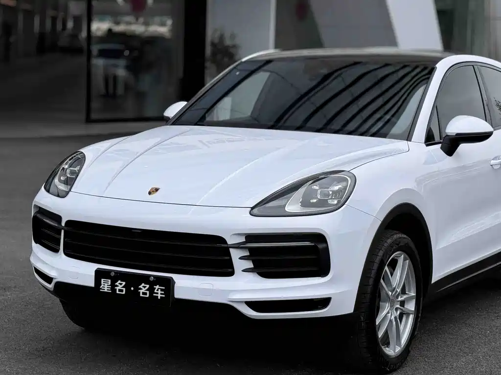 Porsche Cayenne 2020 — фото 11