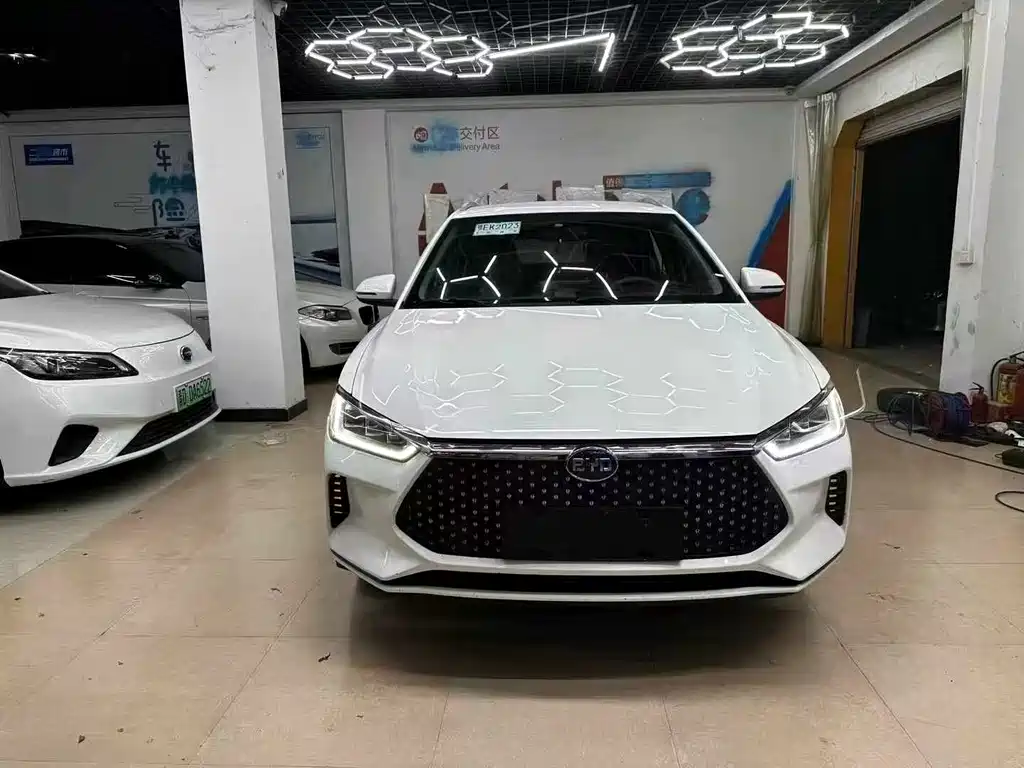 BYD e2 2020