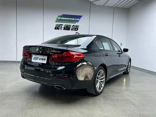 BMW 5 Series 2019