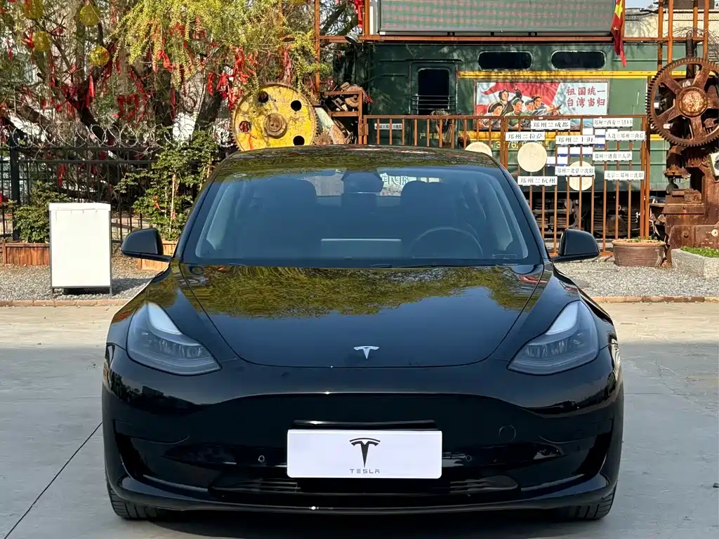 Tesla Model 3 2021 — фото 2
