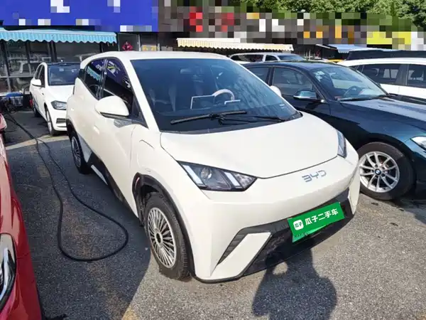 BYD Seagull 2024