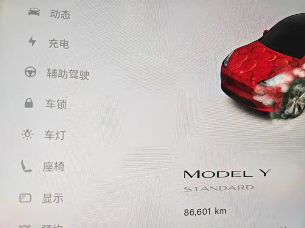 Tesla Model Y 2021 — фото 13