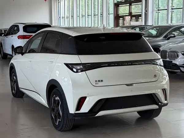 BYD Dolphin 2024