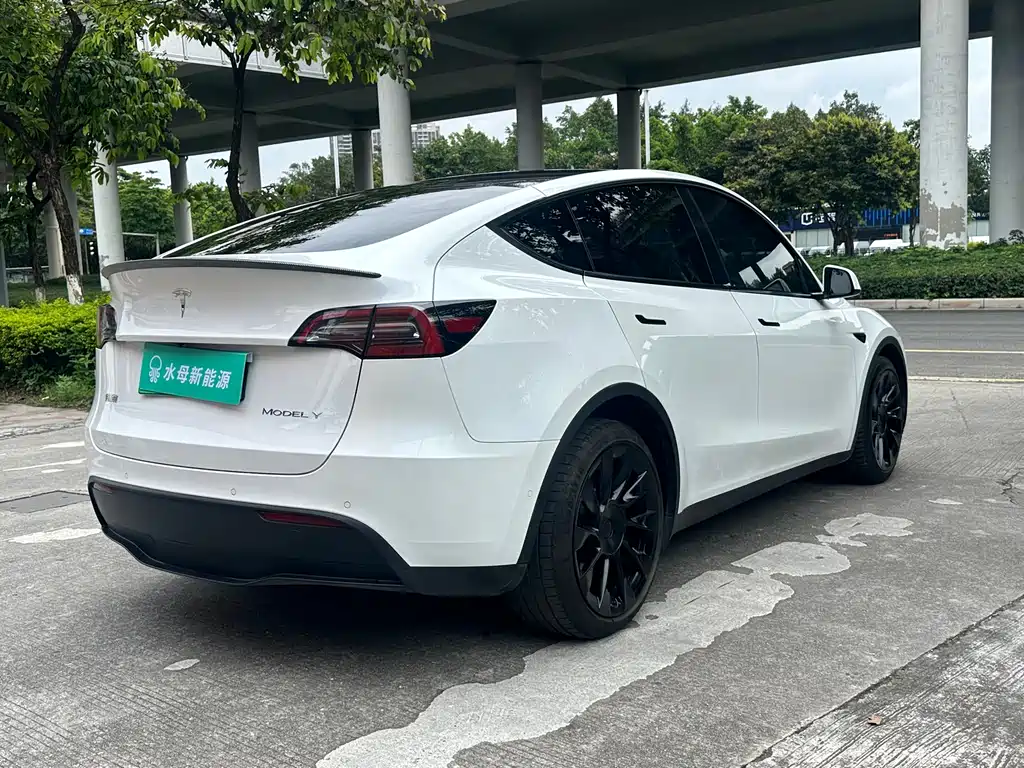 Tesla Model Y 2021 — фото 4