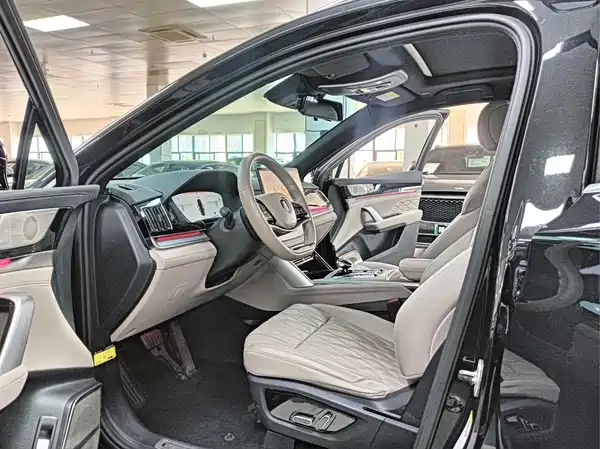 BYD Tang New Energy 2024