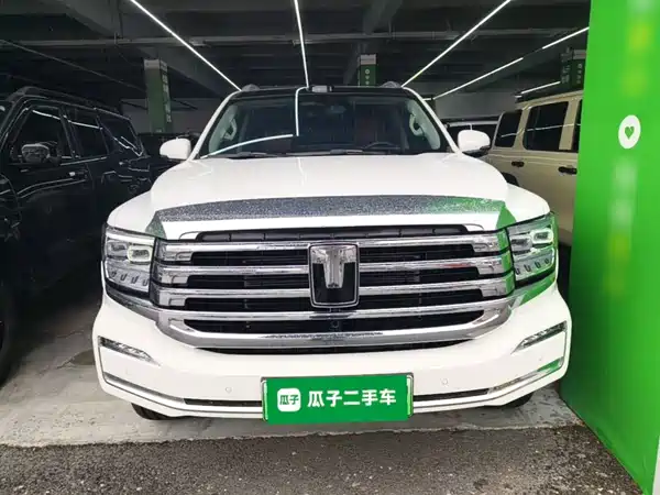 Tank 500 New Energy 2025