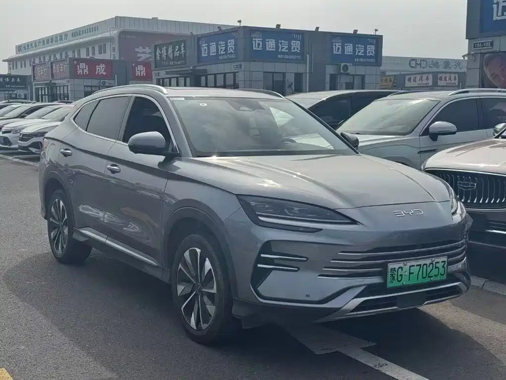 BYD Song PLUS New Energy 2024 — фото 1
