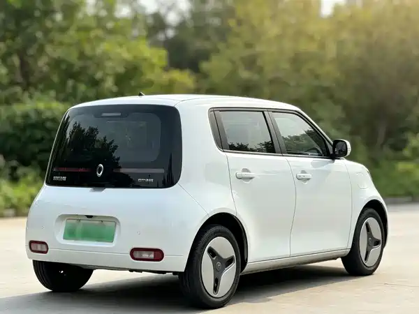 Ora White Cat 2021
