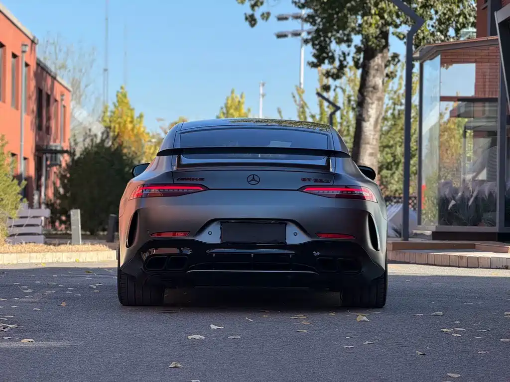 Mercedes-Benz AMG GT 2020 — фото 20