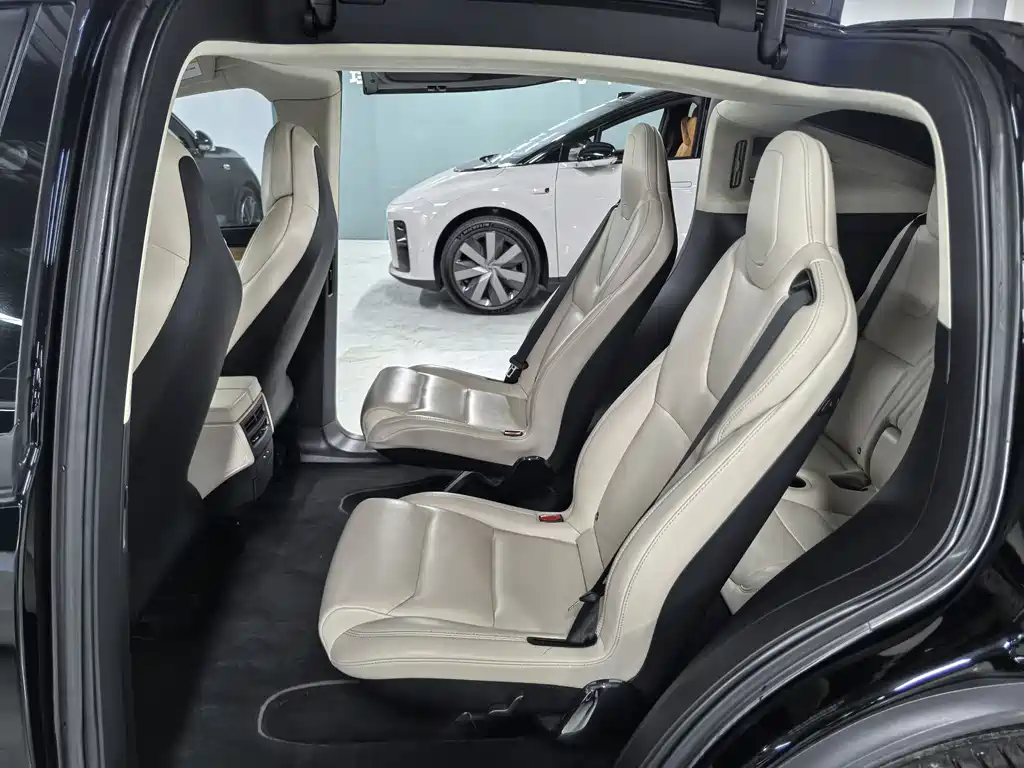 Tesla Model X 2019 — фото 10