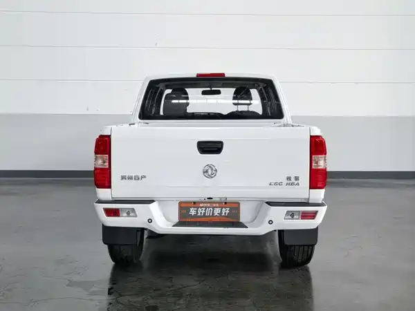 Dongfeng Ruiqi 2022