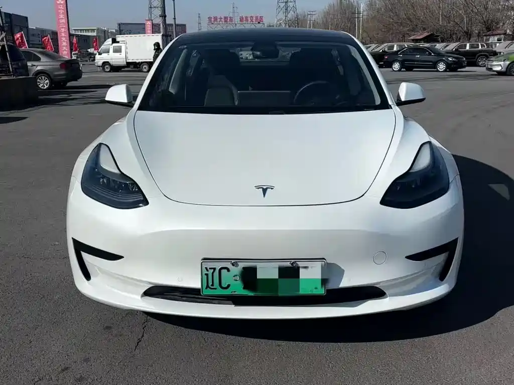 Tesla Model 3 2021 — фото 3