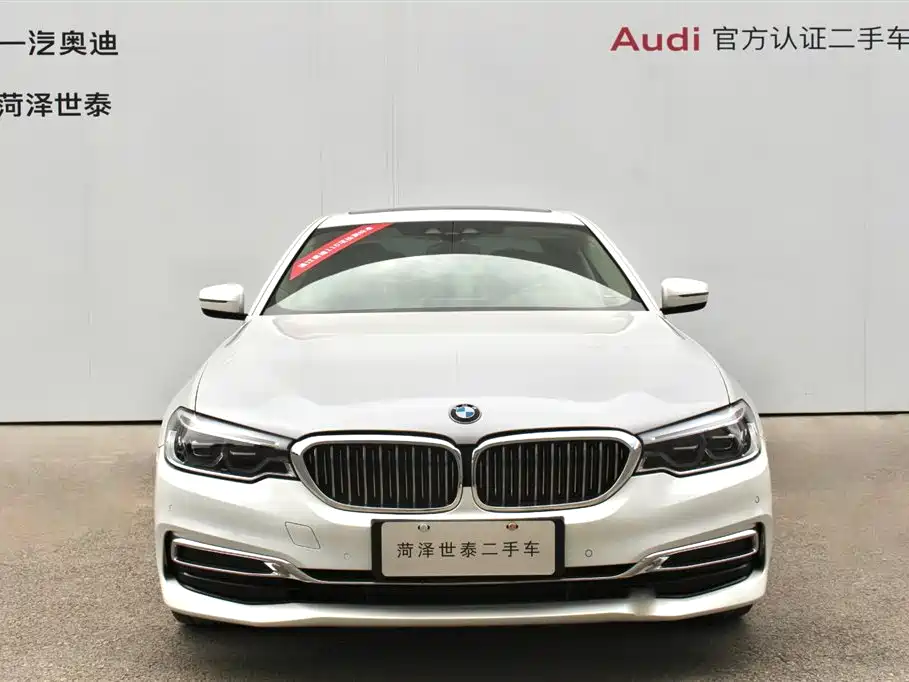 BMW 5 Series New Energy 2020