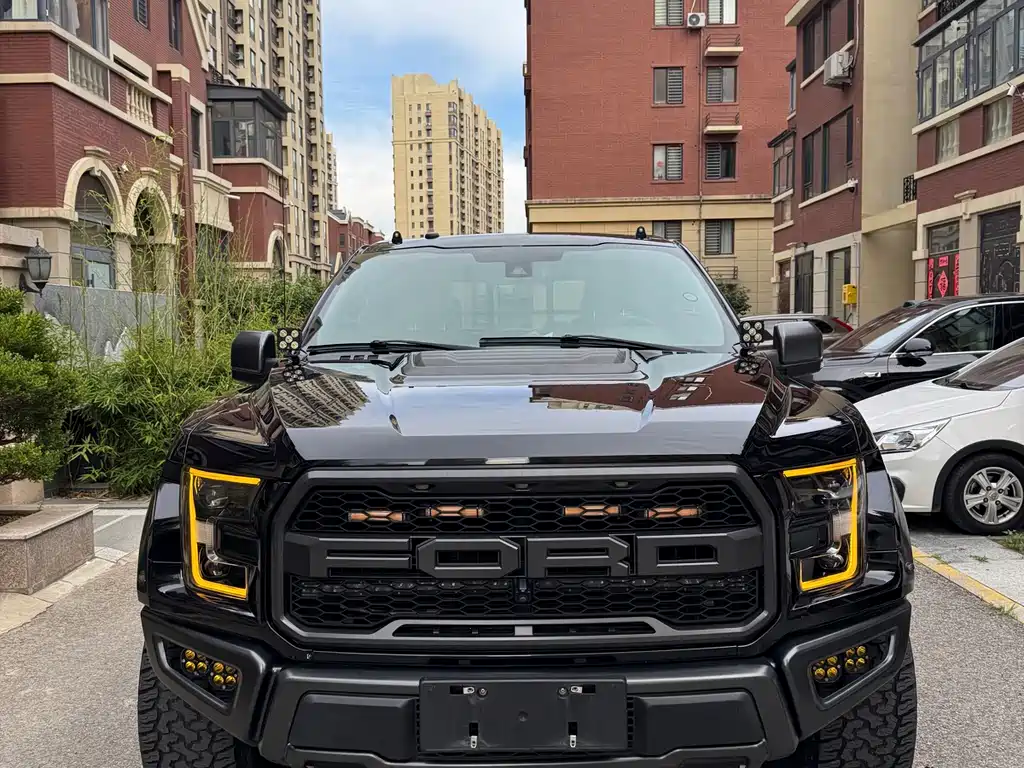 Ford F-150 Raptor 2019 — фото 2
