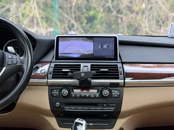 BMW X6 2009
