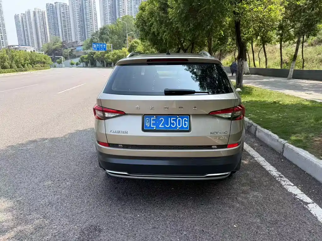 Skoda Kodiaq 2019 — фото 9