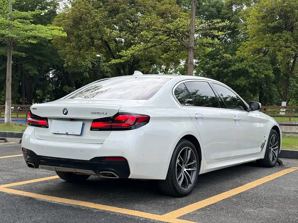 BMW 5 Series 2021