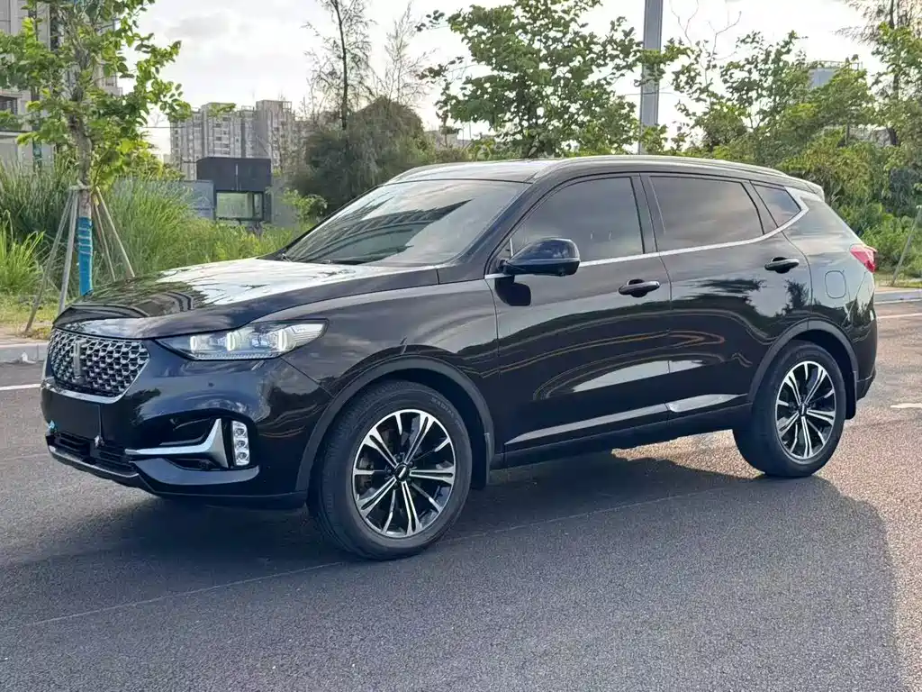 Wey VV6 2020