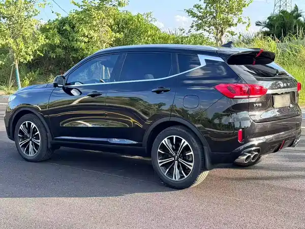 Wey VV6 2020