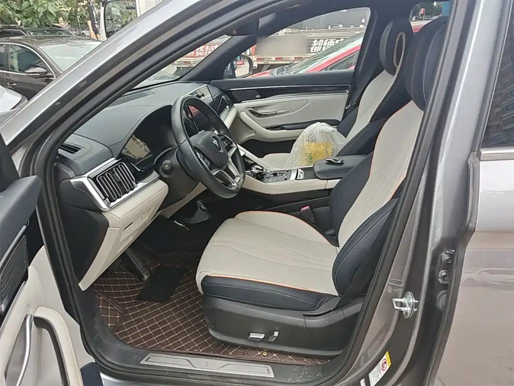 BYD PLUS New Energy 2022 — фото 15