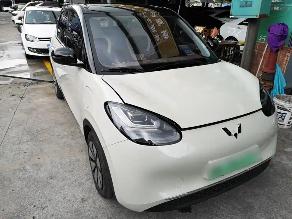 Wuling Bingo 2024