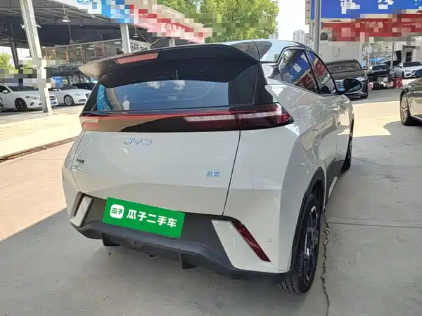 BYD Seagull 2024