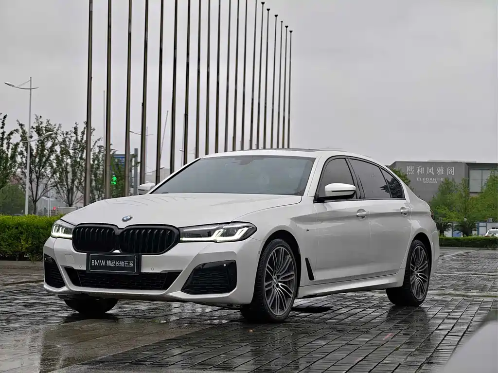 BMW 5 Series 2019