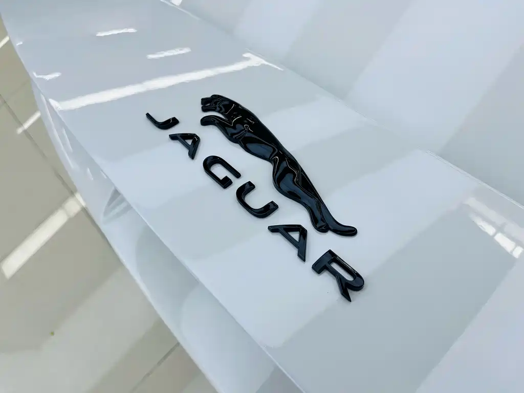 Jaguar F-TYPE 2013 — фото 19