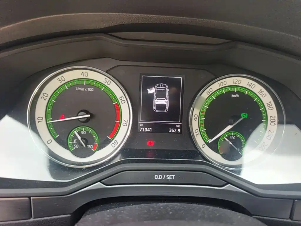 Skoda Speedy 2017