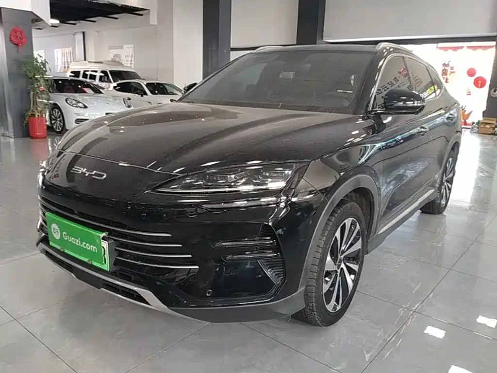 BYD Song PLUS New Energy 2024 — фото 2