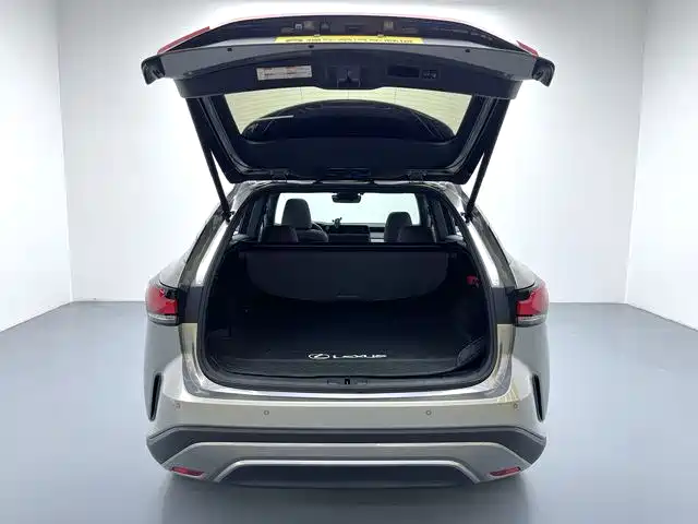 Lexus RX 2023 — фото 15