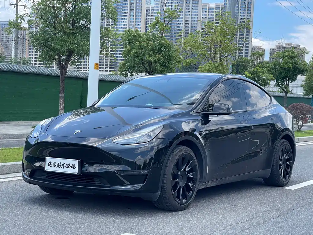 Tesla Model Y 2021 — фото 3