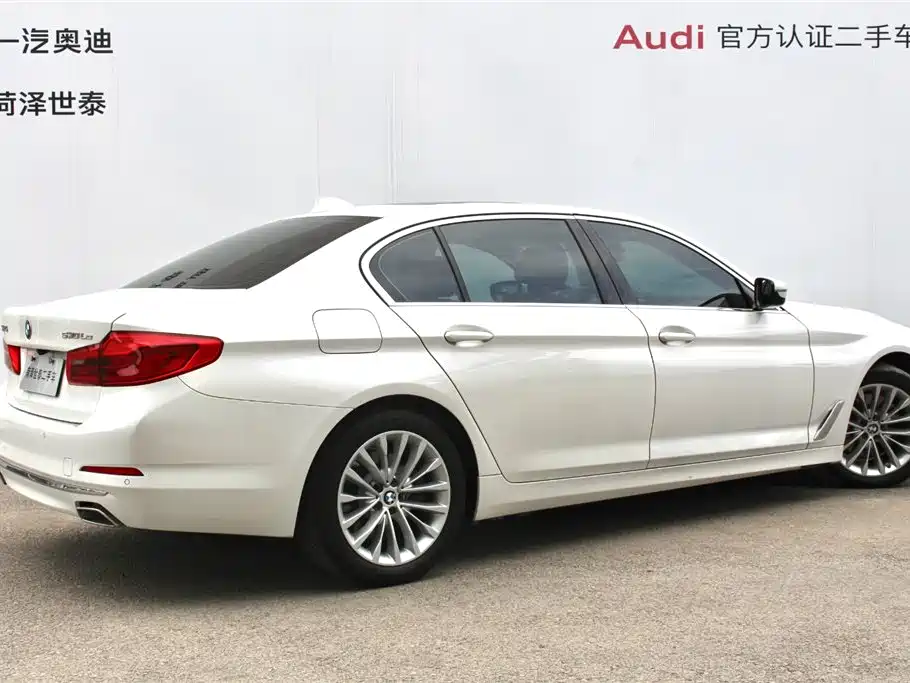 BMW 5 Series New Energy 2020