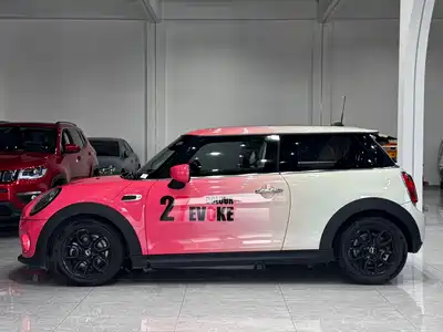 MINI MINI 2020